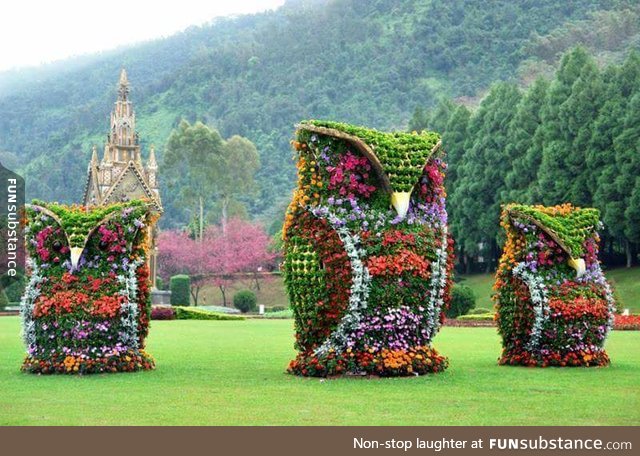 Owl flower sculptures