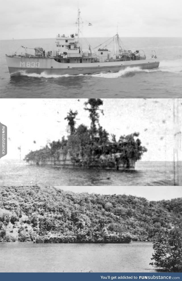 Dutch soldiers camouflaged a WWII ship for 8 days as an island to escape from the Japs