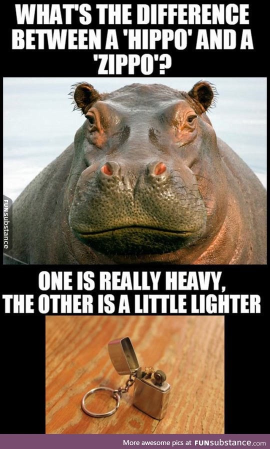 Hippo vs Zippo
