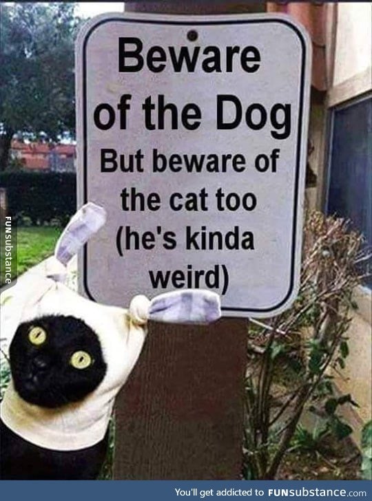 It's Not Just The Dog You Should Be Afraid Of