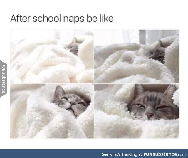 After school naps