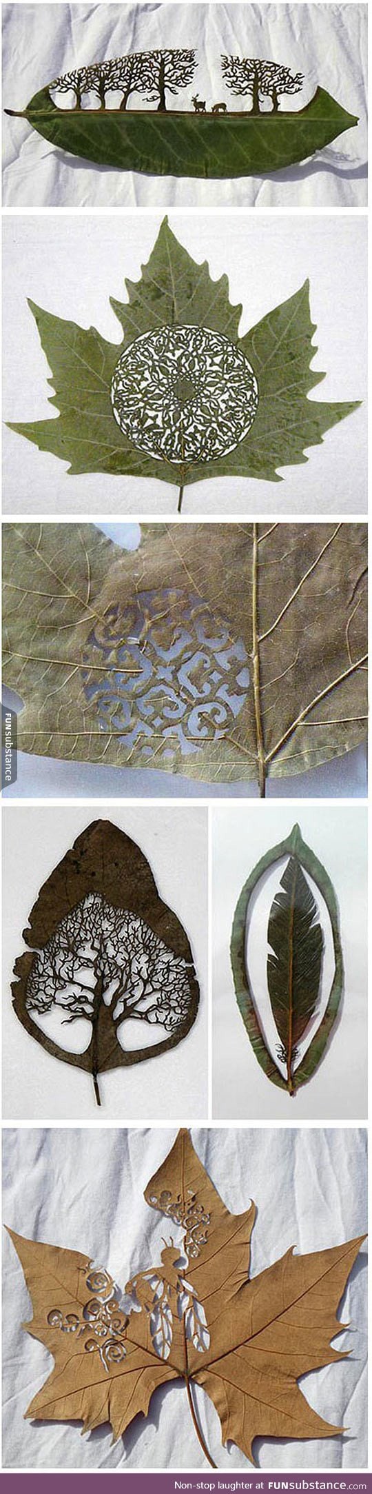 True art in a leaf