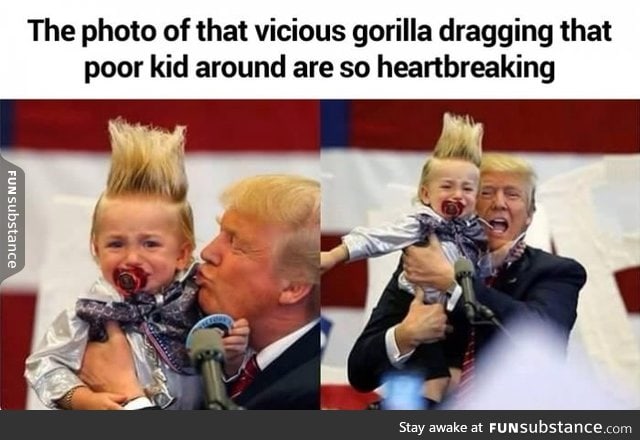 Someone shoot the Gorilla!