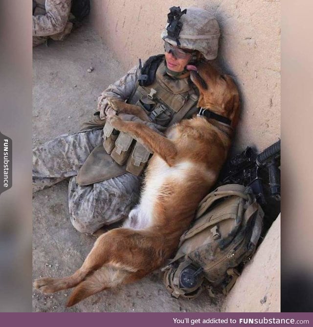 When you dont care its war because you just want cuddles