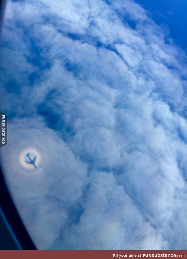 Plane creates a rainbow stamped shadow of itself on the clouds below