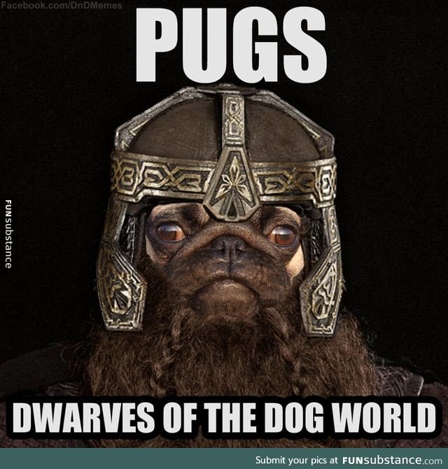 But pugs are definitely tossable