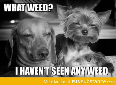 What weed?