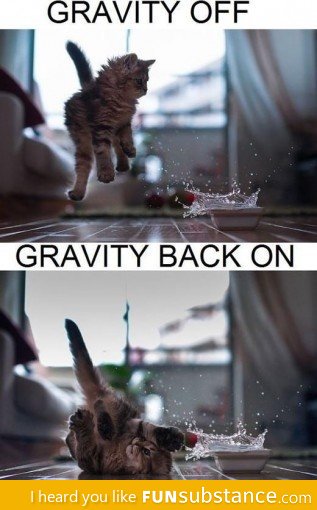 Playing with gravity