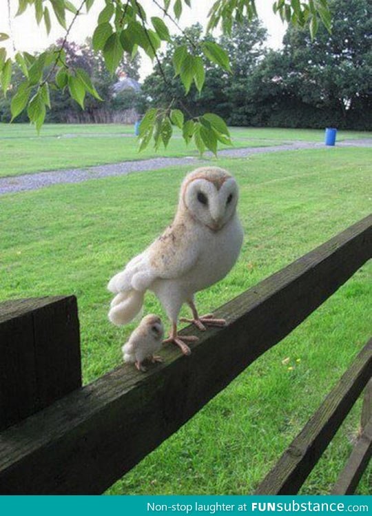 Mom and Baby Owl