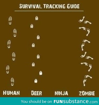 Survival tracking guide