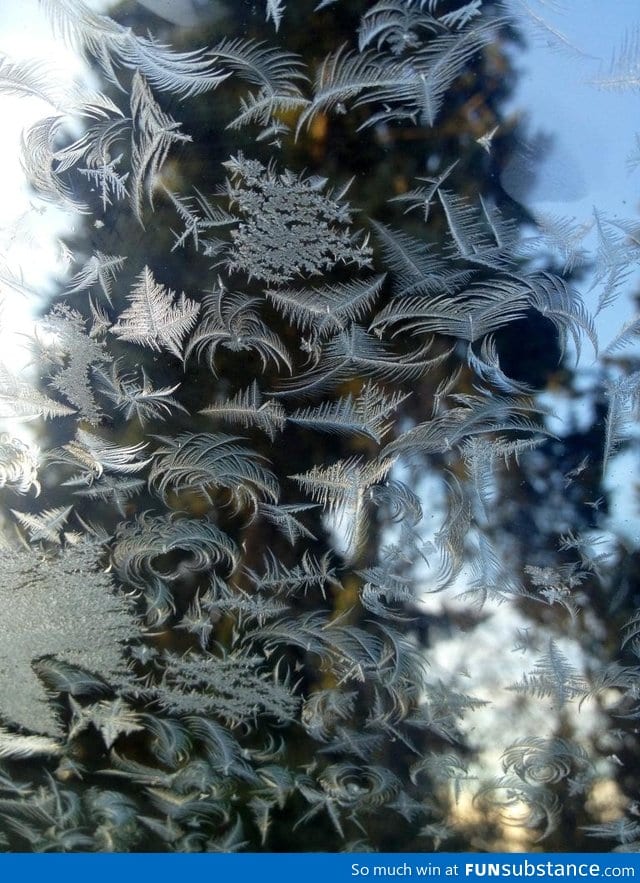 Awesome ice crystals on my windshield