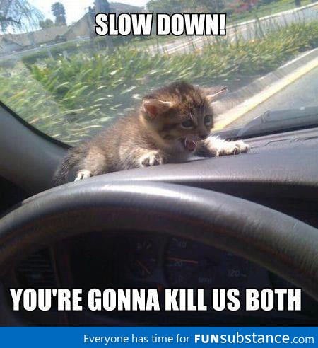 Slow down human