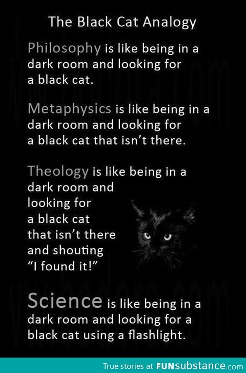 The black cat an*logy