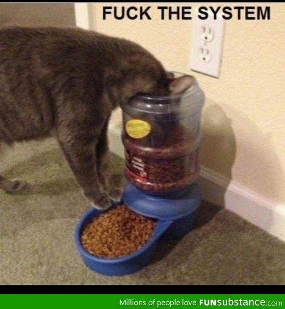 Cat logic