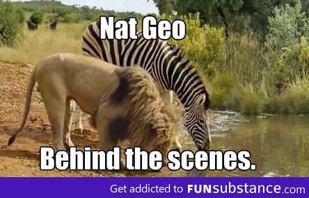 Nat Geo Behind The Scenes