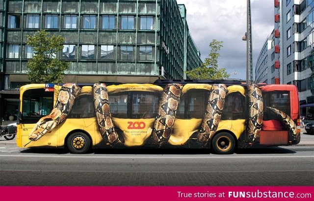 Cool bus design