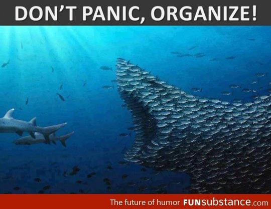 Just Organize