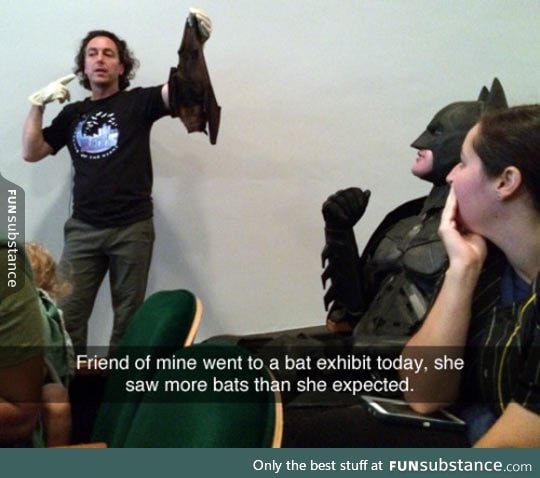 Bat exhibit