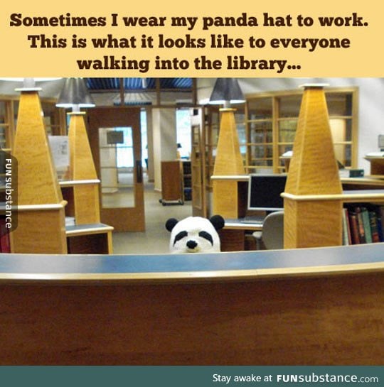 Panda hat