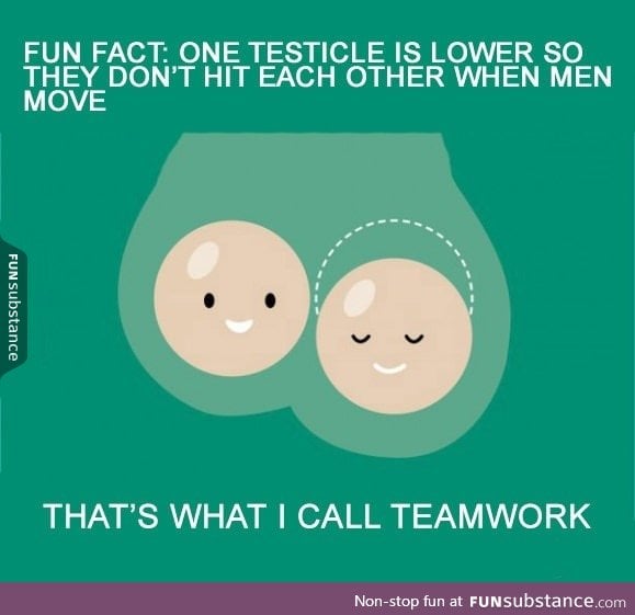 Balls Teamwork