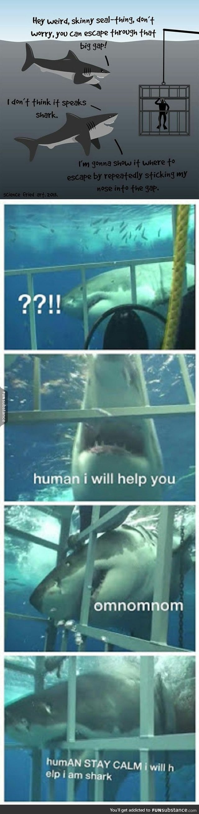 Helpful sharks to the rescue