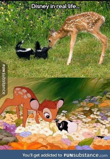 Disney in real life