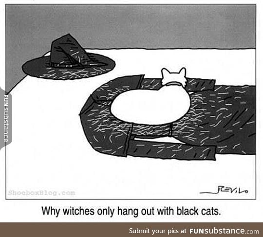 Witches and black cats