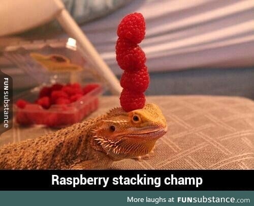 Raspberry stacking