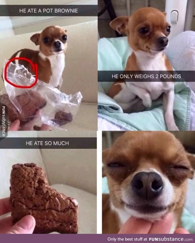 Don't let your happy treats near your pets
