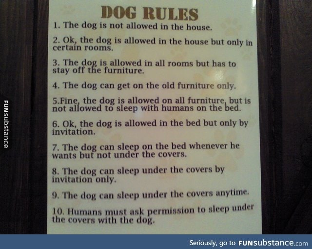 Dog Rules-A sign at our local animal hospital