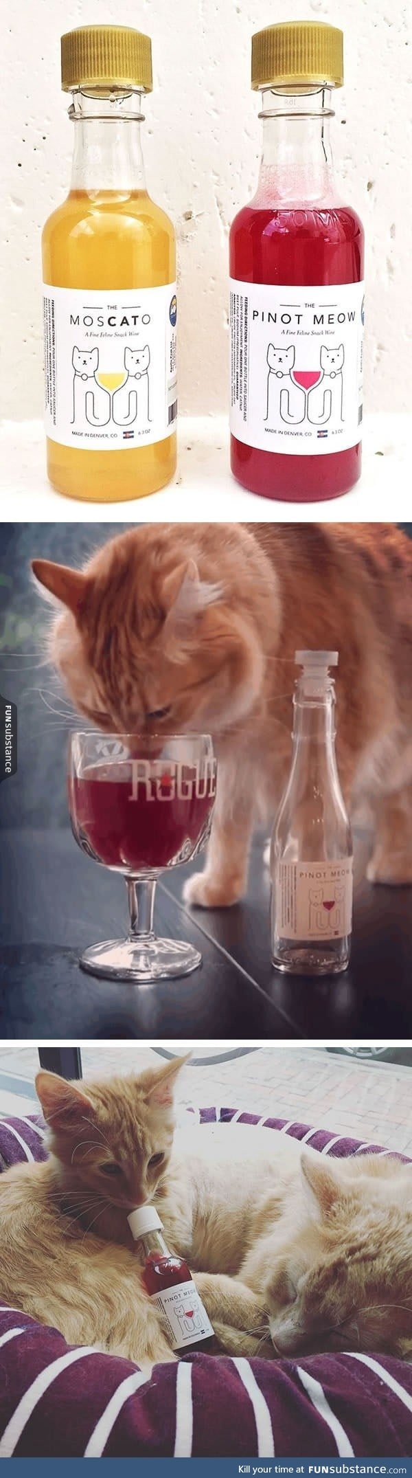 This catnip wine lets your cat be your new drinking buddie