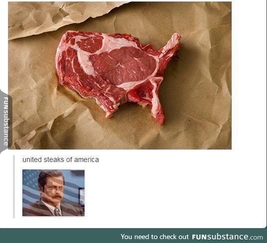 Ron Swanson: A True American Hero