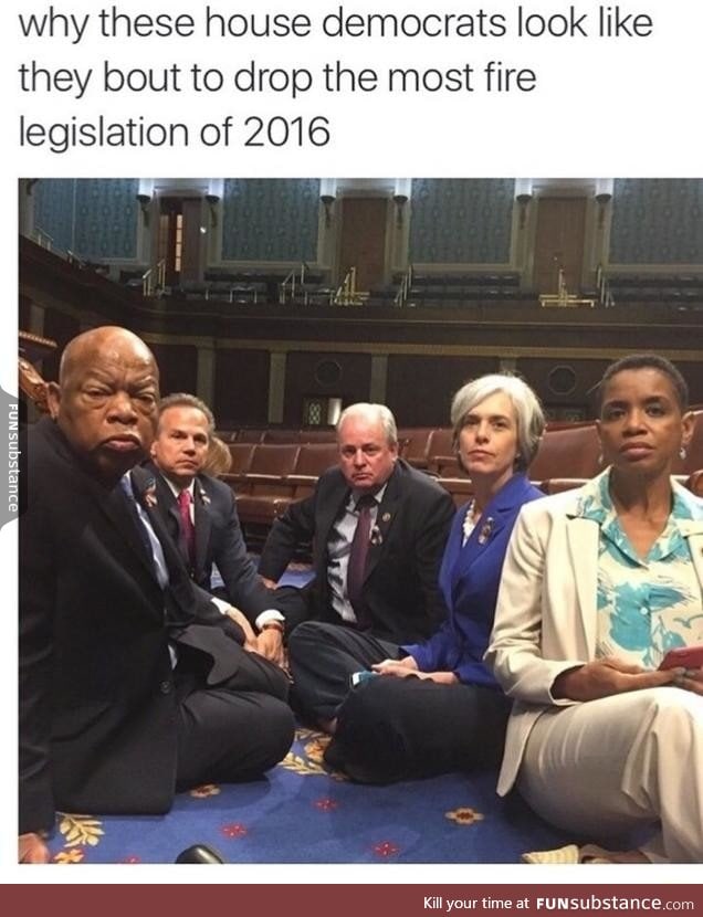 House democrats