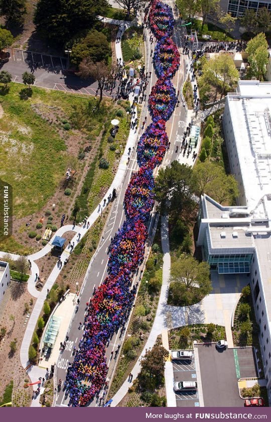2600 people form a chain to celebrate the anniversary of dna