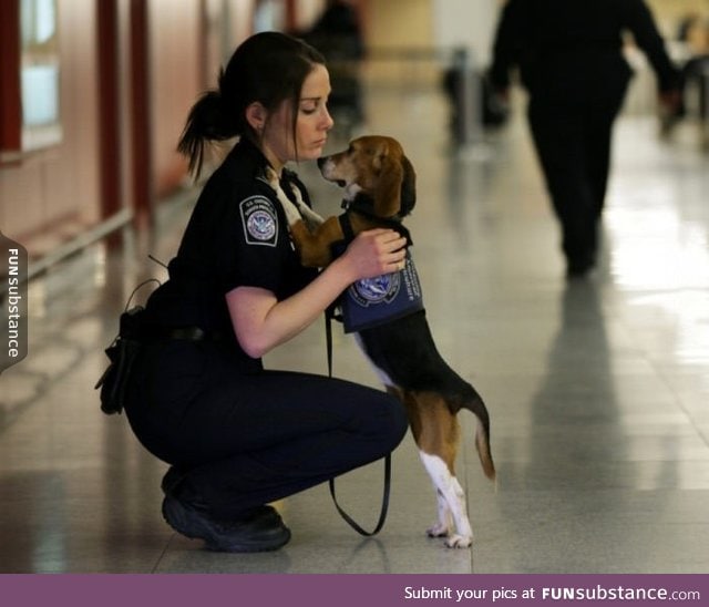 Just an officer with her partner