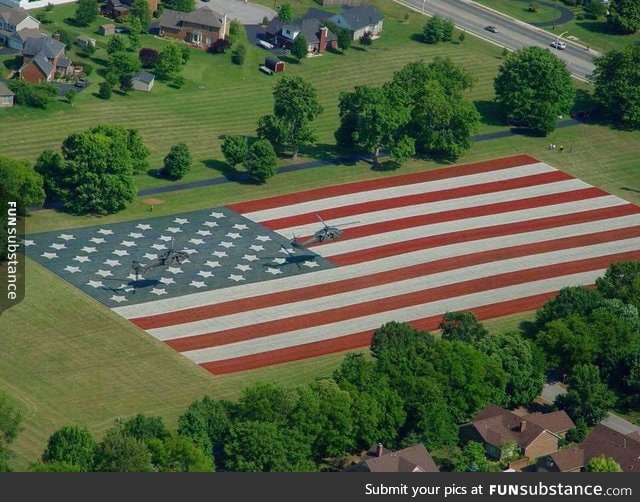 This family paints their lawn every year for Independence Day