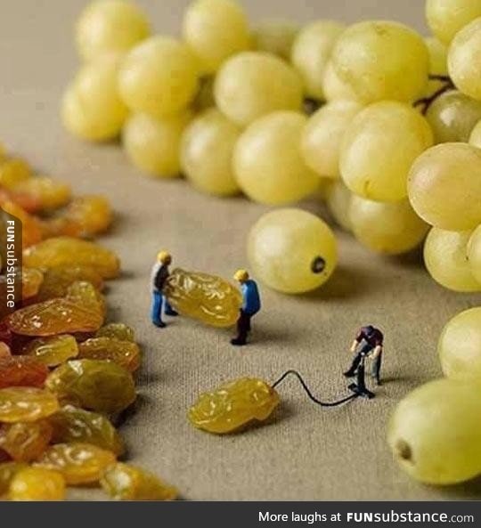 How grapes are really made