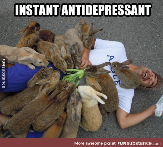 Bunnies cure pretty much everything