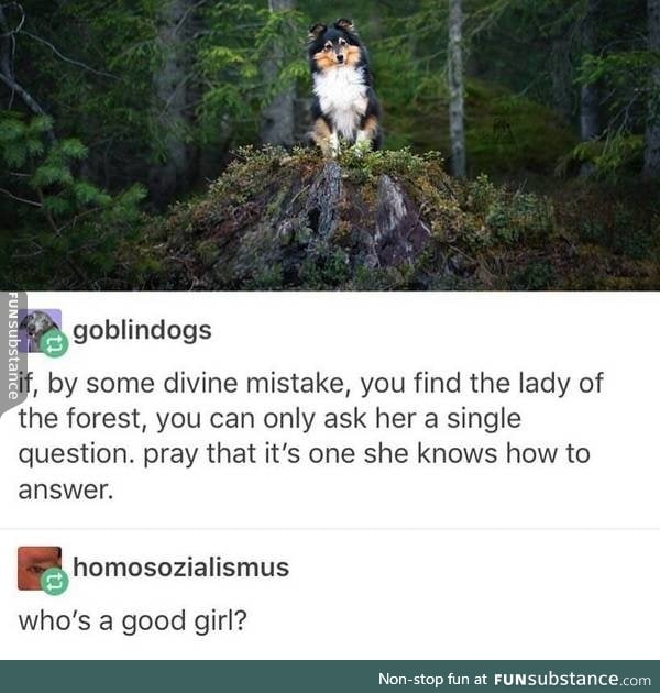 The lady of the forest