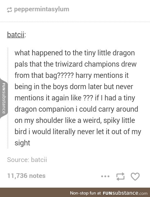 I want a pet dragon now