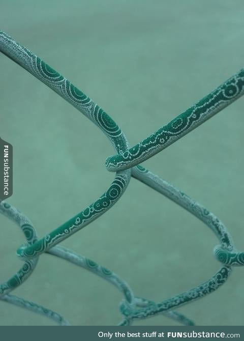 Look at the corrosion on this underwater fence