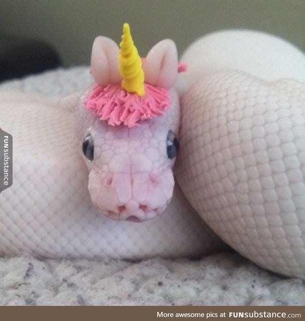 Snake with a unicorn hat