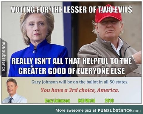 Just a reminder, there are more than just the two stooges on the ballot.