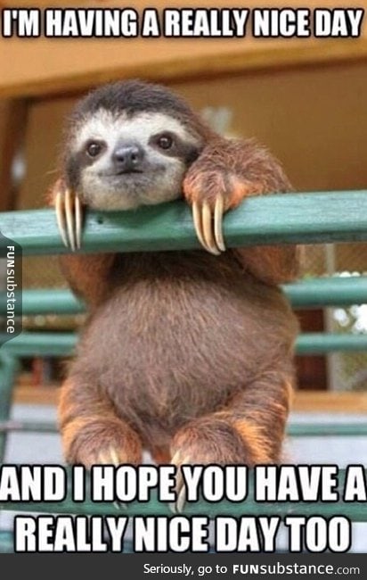 I love sloths