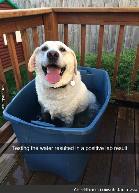 Testing the water