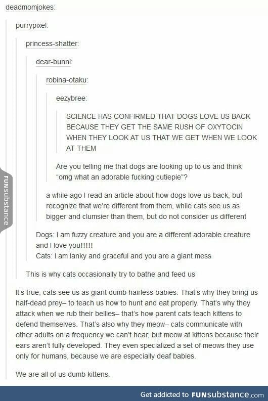Dogs and Cats - FunSubstance