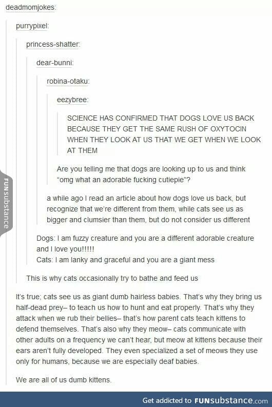 Dogs and Cats