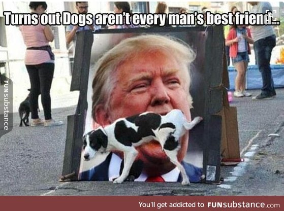 good doggy