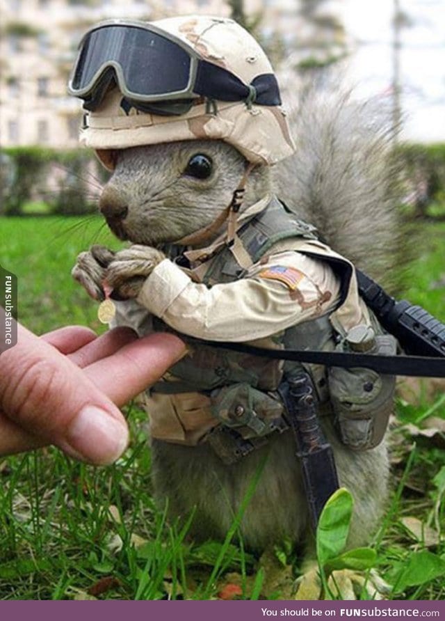 Googled "marine animals". Was not disappointed