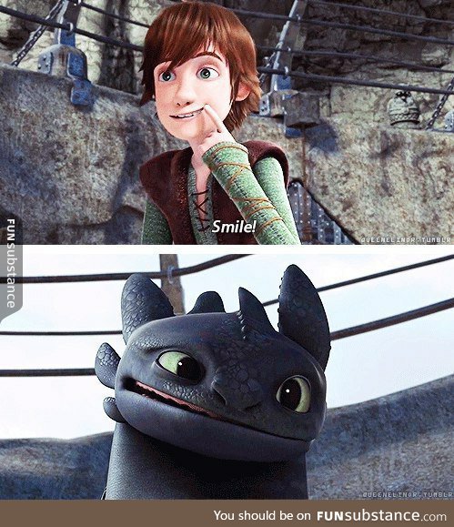 Toothless is so cute - FunSubstance